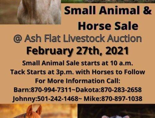 Small animal & horse sale Feb. 27