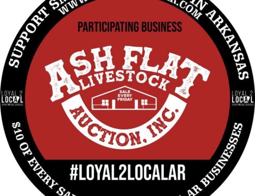 No Ash Flat Livestock auction Feb. 19
