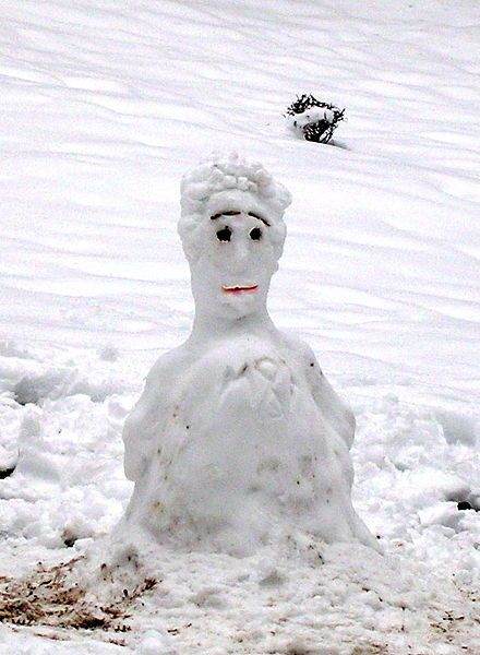 Unusual Snowman