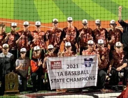 Viola bests ICC (11-4) to win 1A state baseball championship title