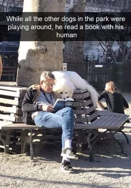 He read a book with his human