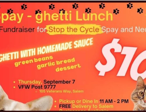 Stop the Cycle spaghetti fundraiser
