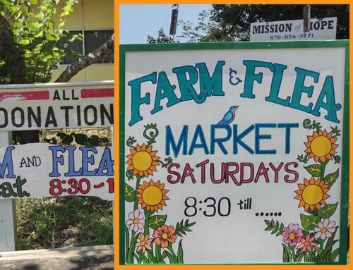 Farm & Flea market fun at the Mission Saturdays