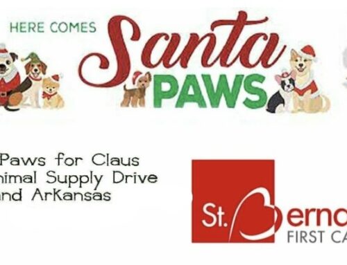 St. Bernards First Care kicks off Paws for Cause