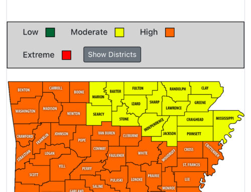 Fire danger increases as lack of rainfall continues