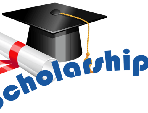 Fulton County Fair Foundation Scholarship Application Now Available