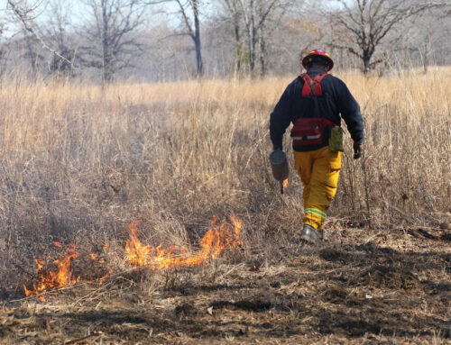 Renewing your hunting license contributes to conservation