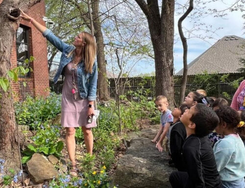 Applications online for Arkansas school conservation education grants