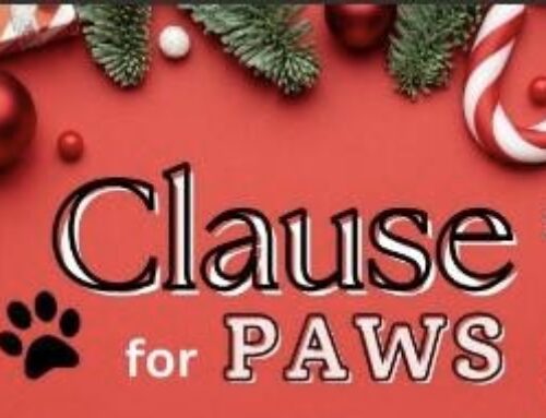 It’s Time for “Paws for Clause”