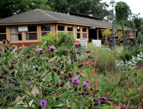 Heritage Herb Garden Spring Extravaganza returns May 8 & 9 to the Ozark Folk Center State Park