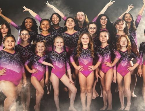 TNT Gymnastics Team excels